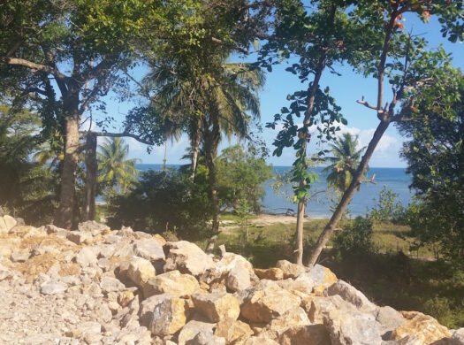 Beachfront Lot for Sale in Portillo