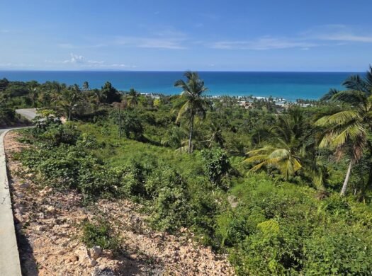 10,000 m2 Lot with Ocean View in Las Terrenas