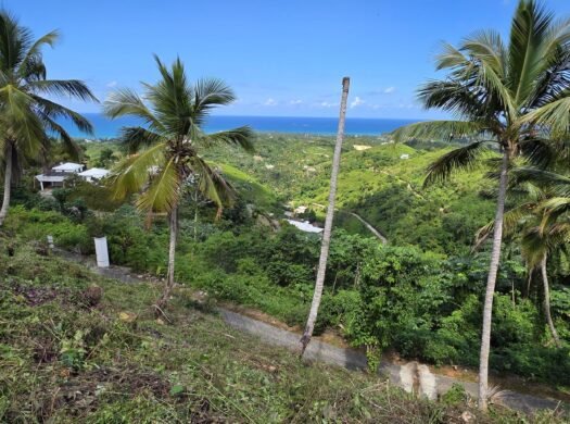 Sea View Lot in Las Terrenas