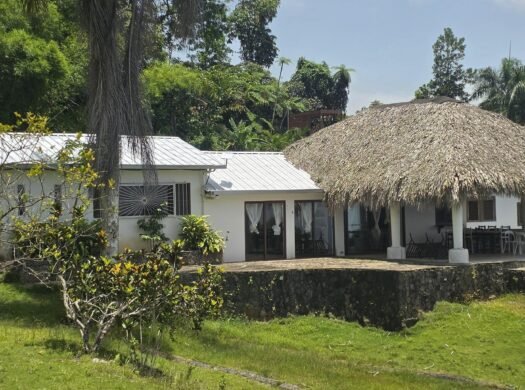 Ocean View House