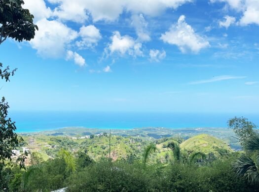 Sea View Lot at Los Puentes for Sale