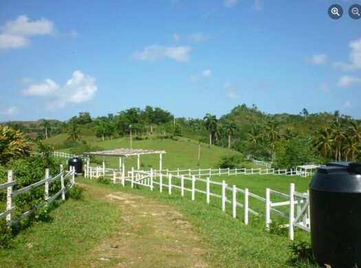 Estate Near Las Terrenas