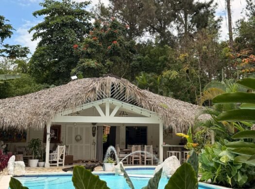 Playa Bonita villas for sale Las Terrenas