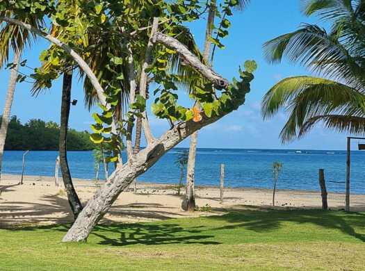 Beachfront Villa in Las Terrenas for Sale