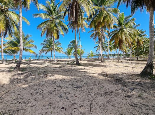 Building lots in beachfront community for sale at El Limon.
