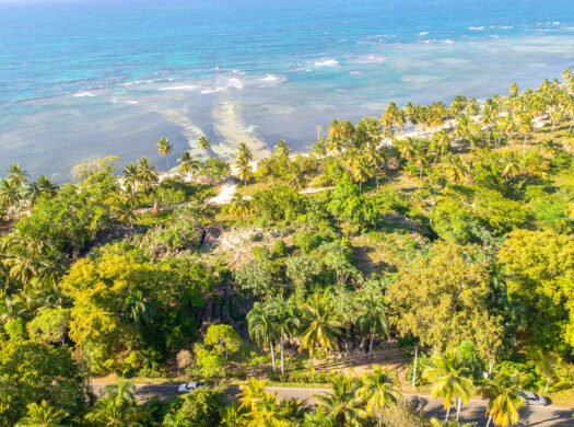 The Portillo Beachfront Lot
