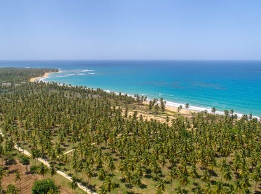 Beachfront Land for Sale in Las Terrenas