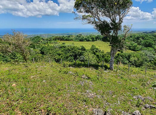 Plot with Sea View