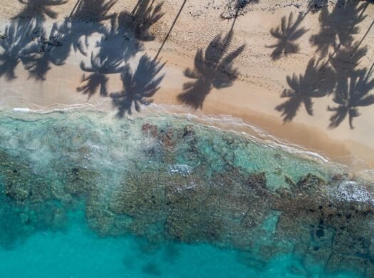 10500 m2 beachfront Las Terrenas
