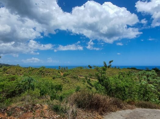 Hill with Ocean View in Las Terrenas for Sale