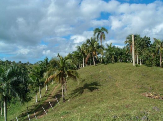 Estate for Sale in Samana