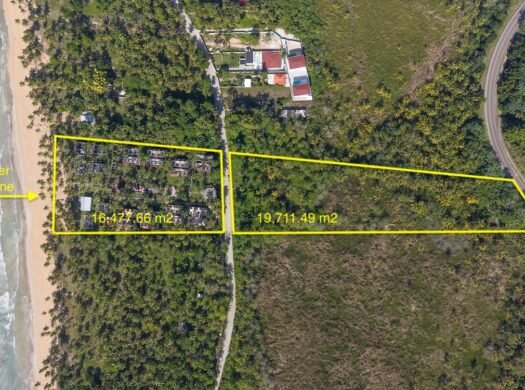 36,000 M2 beachfront lot Playa Coson for sale