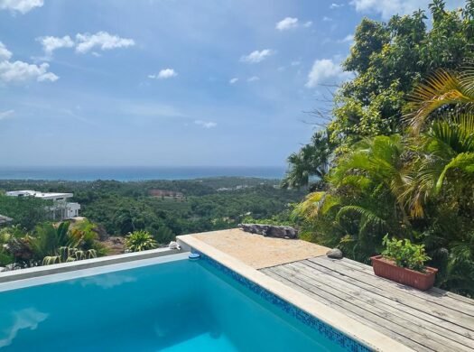 Oceanview Villa Las Terrenas