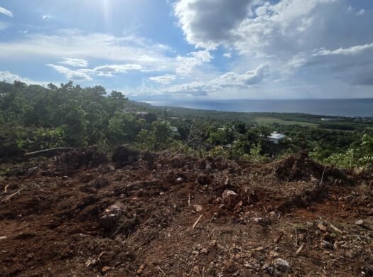 6500 m2 million dollar view lot in Coson Las Terrenas