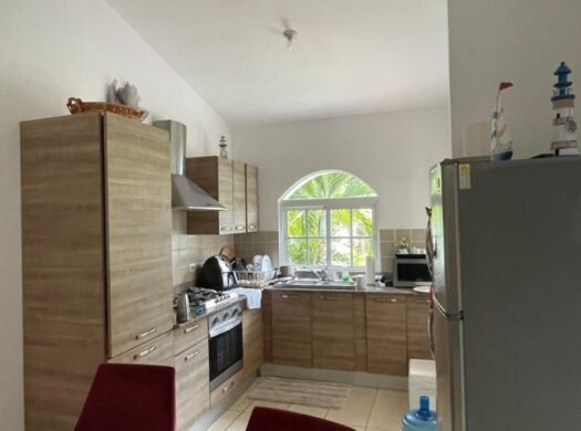 Bonita Village Las Terrenas apartment for sale