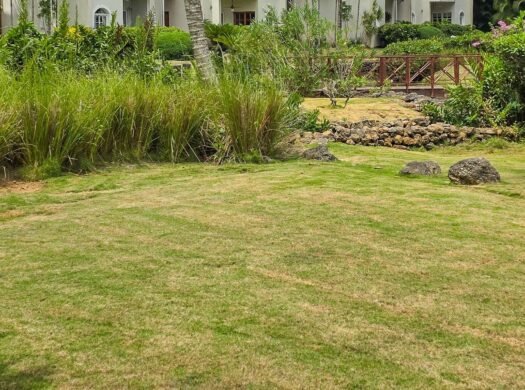 Bonita Village Las Terrenas apartment for sale