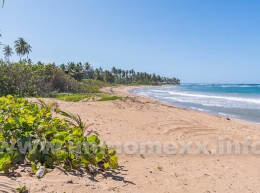 Beachfront lot Las Terrenas-El Limon