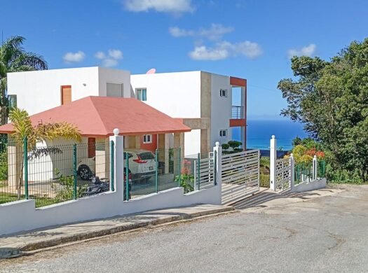 Los Puentes oceanview villa for sale