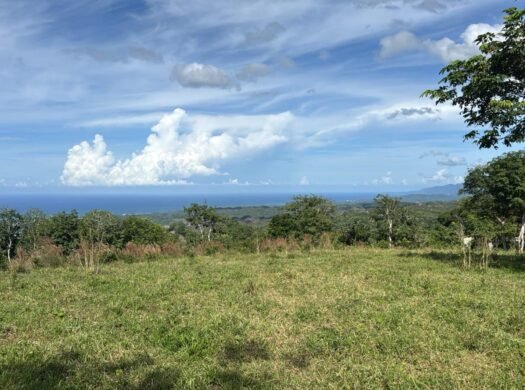 47,000 m2 Oceanview Property in Las Terrenas